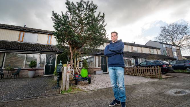 Hans uit Apeldoorn in conflict met woningcorporatie omdat boom voor huis weg moet: ‘Zaag je toch niet om?’