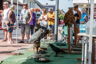 Dertigste Bosschenhoofdse Midzomerfeesten: ‘We zijn super tevreden’