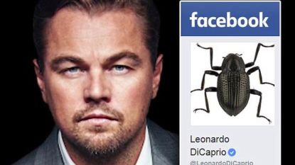 Deze nieuwe diersoort werd vernoemd naar Leonardo DiCaprio