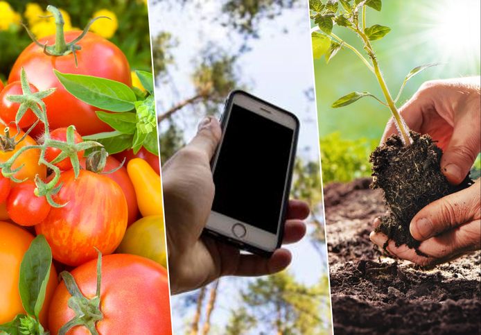 Deze apps helpen je in de tuin.
