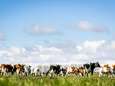 Eindelijk lente in zicht: dit weekend flink wat zon, wel koude nachten