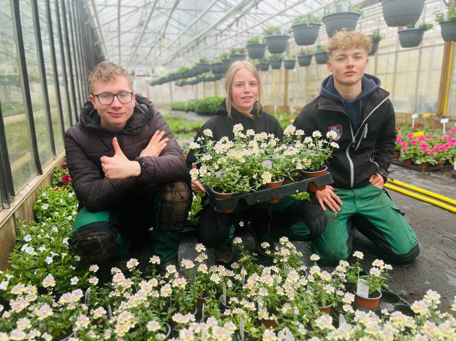 Leerlingen College ten Doorn verkopen laatste perkplanten aan stuntprijzen