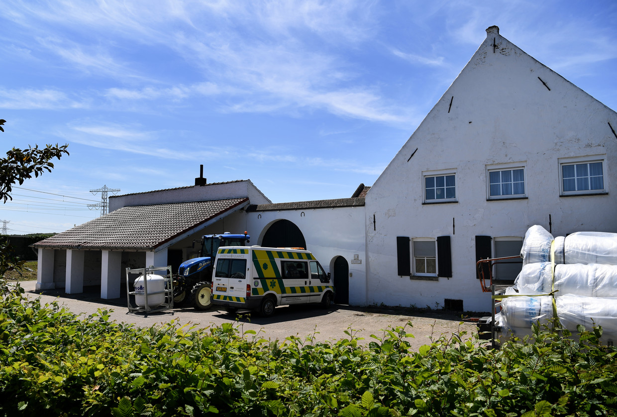 De huisvesting in deze boerderij in Linne was zwaar verouderd, vervuild, verwaarloosd en onveilig. Beeld Marcel van den Bergh / de Volkskrant