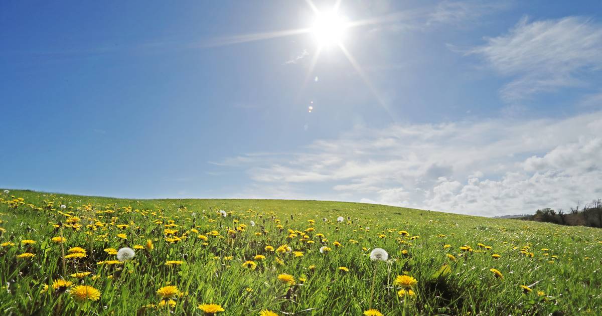 United Nations: “Ozone layer recovery is on track” |  Environment