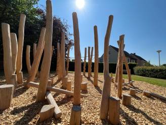 Nieuw speelplein in Breughellaan wordt zondag officieel in gebruik genomen
