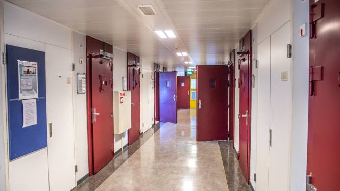 10 jaar cel en tbs met dwang voor doodslag met 65 messteken