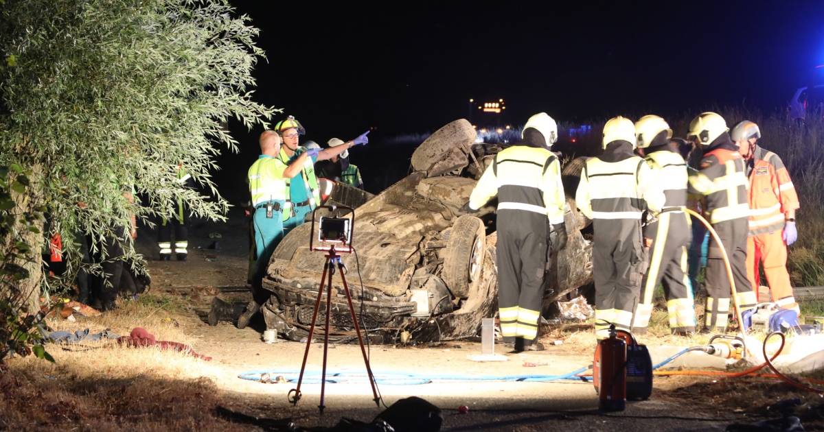 Dode en gewonden bij ongeval op A50 bij Herpen.