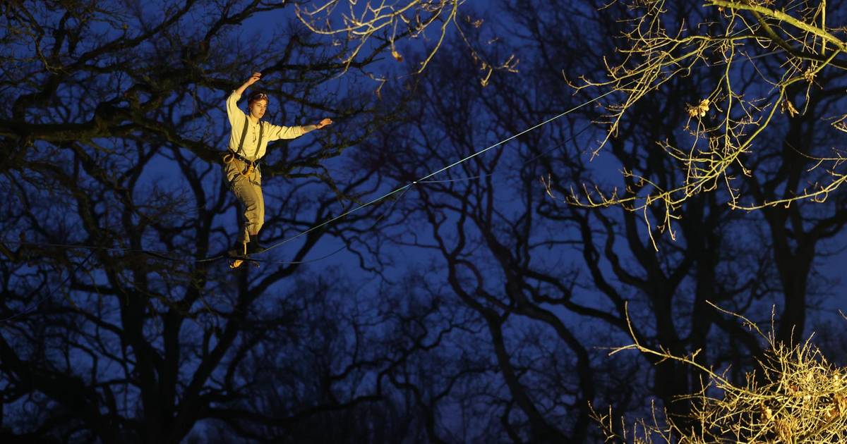 Interpunctie Categorie Baan Vijf winteravonden met feeëriek licht tijdens Winterlicht in Bokrijk | Genk  | hln.be