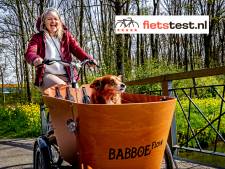 Dit zijn de beste elektrische bakfietsen