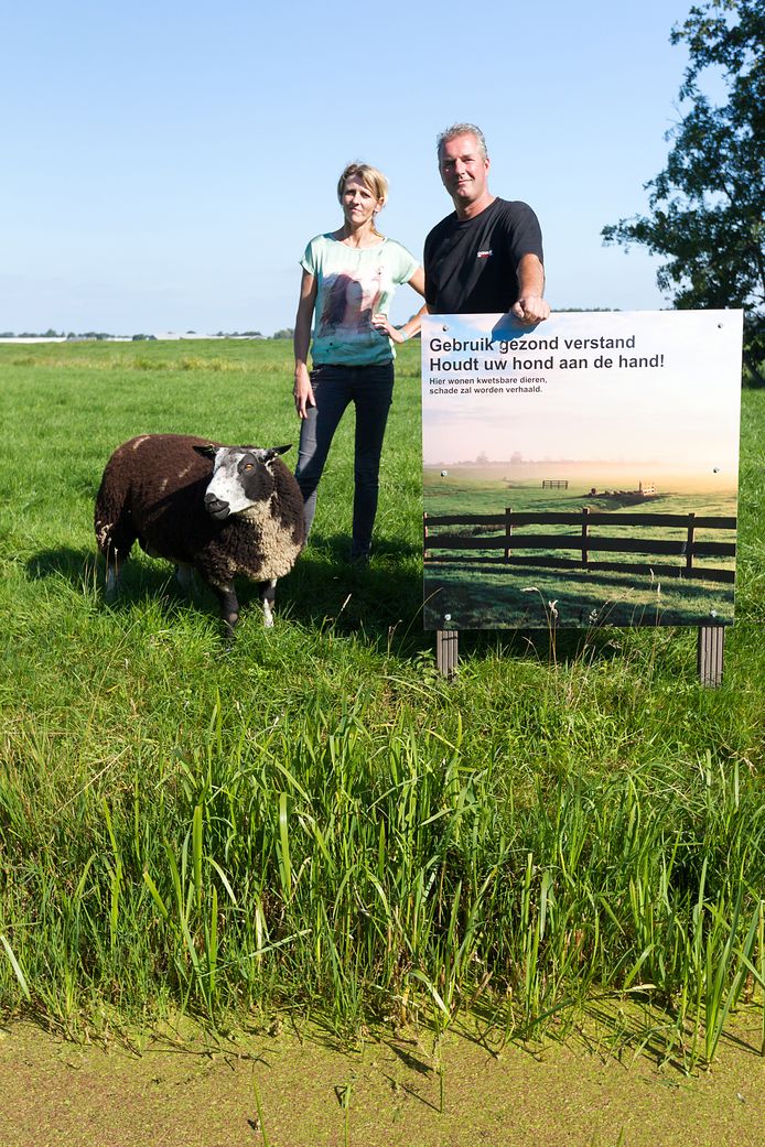 John en Mirjam van der Salm met hun ram Bram naast het bord in hun weiland naast het fietspad langs de Wijde Aa tussen Hoogmade en Woubrugge.