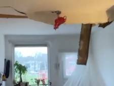 Losgewaaid dak doorboort containerwoning Riekerhaven: ‘Wat gebeurt hier nou?’