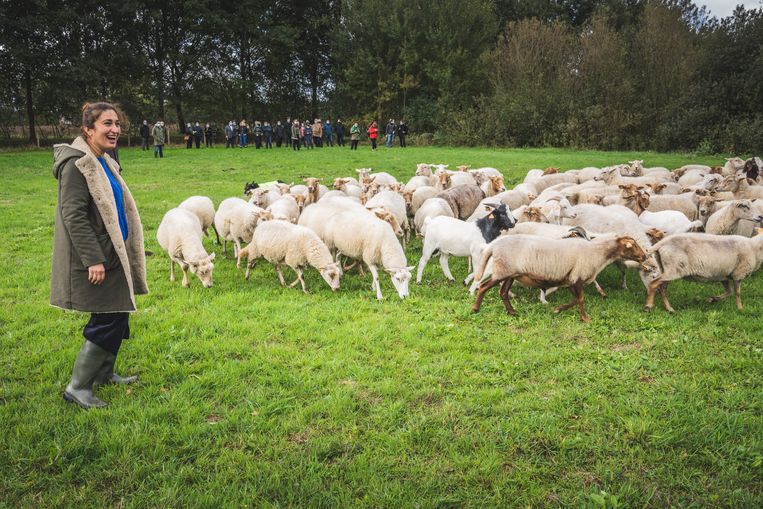 Archiefbeeld.
 Beeld Wannes Nimmegeers