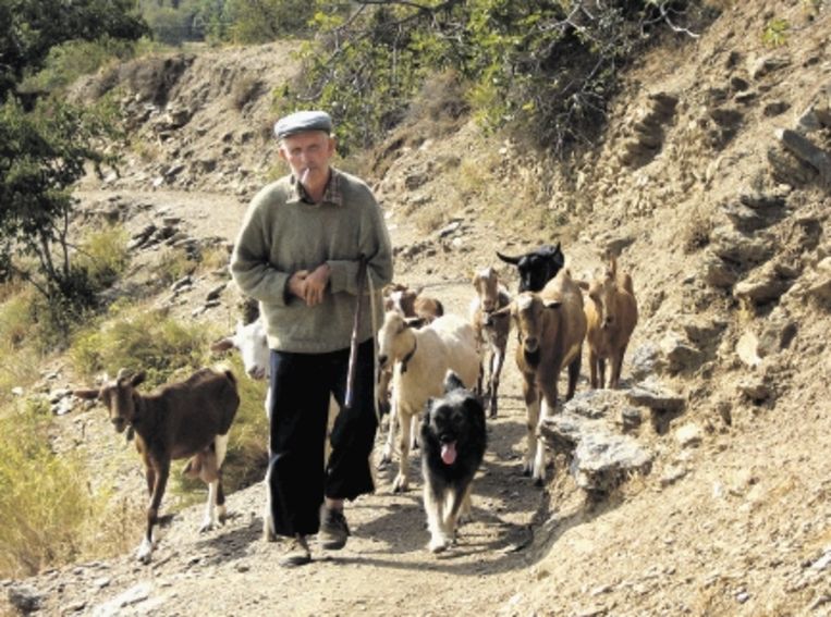 In de bergen kom je bijna niemand tegen, hooguit een herder met zijn kudde. De witte dorpjes doen Noord-Afrikaans aan. (FOTO'S STAP REIZEN) Beeld 