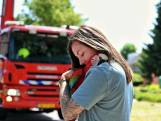 Papegaai Rubi komt vast te zitten in boom in Berkel-Enschot