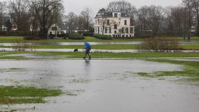 Wat als een enorme waterbom West-Brabant verrast? ‘De kans bestaat dat een dijk het dan begeeft’