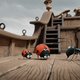 Minuscule 2 - Het tropisch avontuur biedt zeldzaam vermaak voor jong en oud ★★★★☆