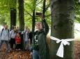 Actievoerders trekken met rouwlinten langs beuken: ‘Massale kap van bijna 500 gezonde bomen’