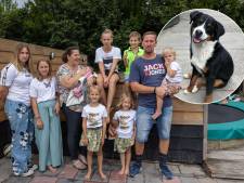 Familie Jelies zoekt ‘hun’ hondje Borre, die al een week spoorloos is 