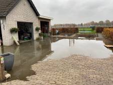 Varkenshouder inderdaad schuldig aan stinkende drek in badkamer van buurman