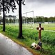 Aan de dood ontsnapt