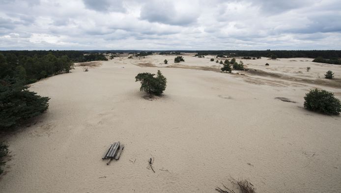 Een deel van het Kootwijkerzand gaat vanaf 2023 tussen maart en juli dicht voor het publiek.