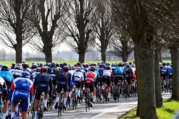 LIVE. Vier renners voorop in Gent-Wevelgem, peloton zet ...