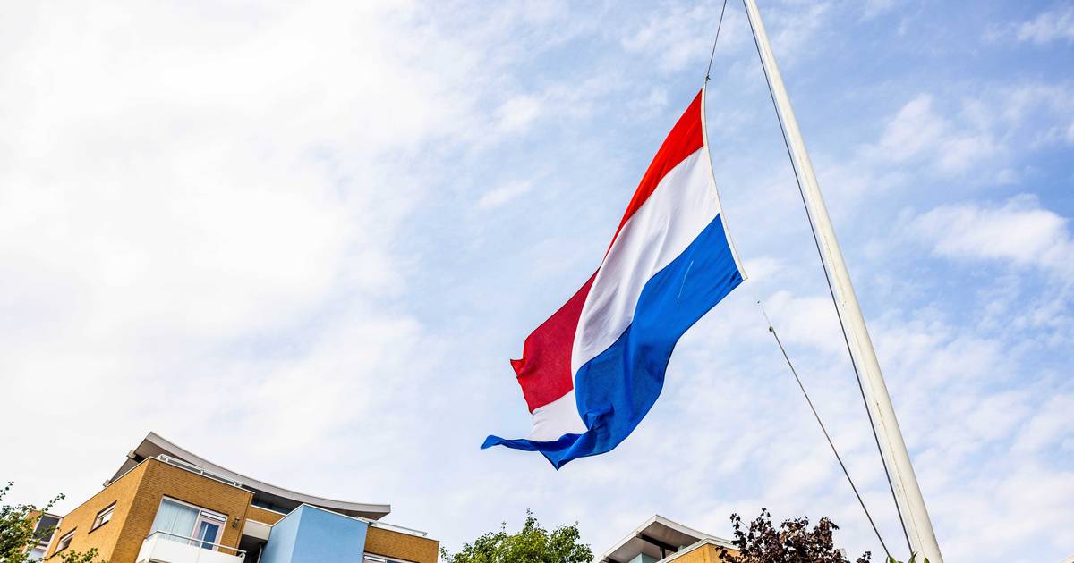 Vrachtwagenchauffeur drama Nieuw-Beijerland claimt onschuld wegens epileptische aanval - BD.nl