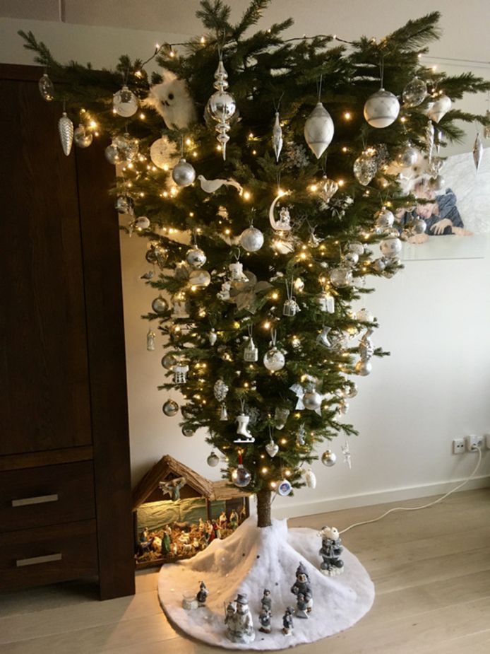 tegenkomen Billy Goat kalmeren Dit zijn de mooiste en meest bijzondere kerstbomen van Brabant | Brabant |  bd.nl