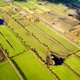 De Friese wouden zijn een vergeten parel in Nederland
