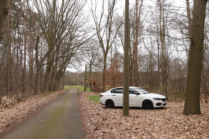 De vluchtauto van de dieven stond een 200-tal meter verder in de berm geparkeerd