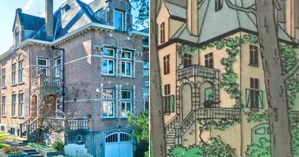 “Live in the Home of Professor Bergamot from the Tintin Comics for Sale in Watermael-Vosvoorde, Belgium”