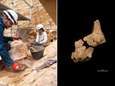 Fossiel gezicht van oudste mens gevonden in Spanje