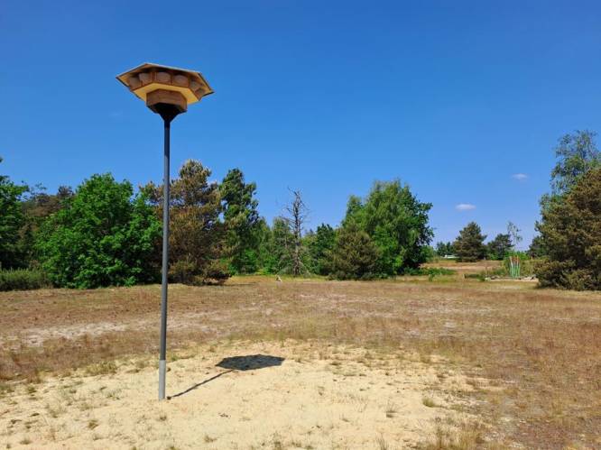 Gemeente plaatst nieuwe zwaluwtil op Keiheuvel