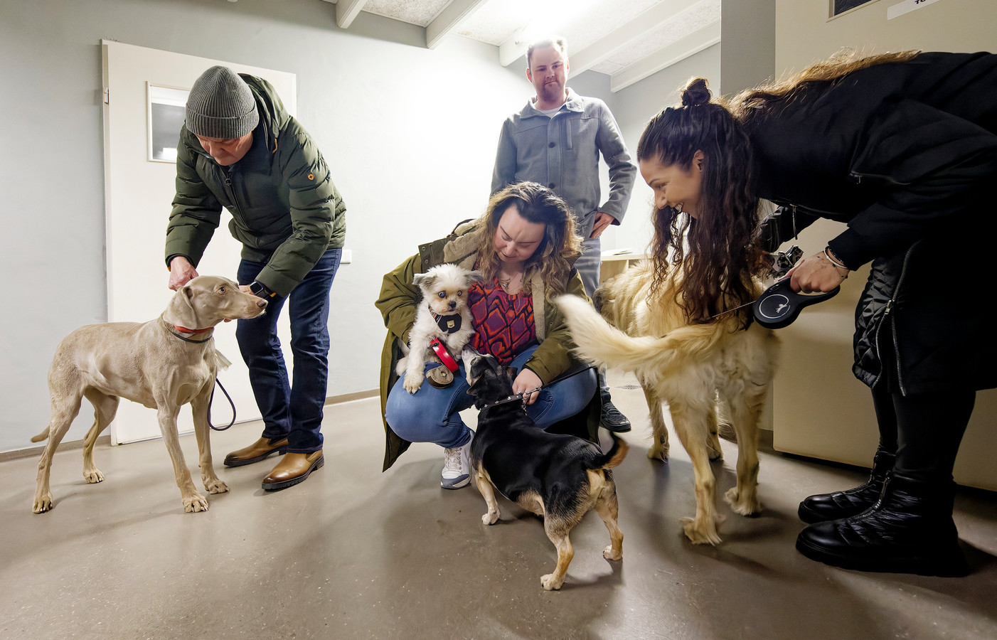 Deze honden beleefden een rustig oud en nieuw in het hondenpension van