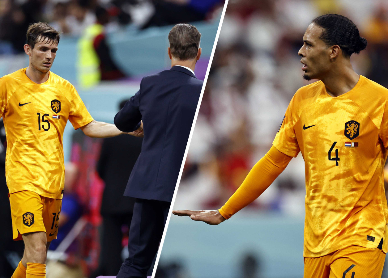 Marten de Roon en Virgil van Dijk.