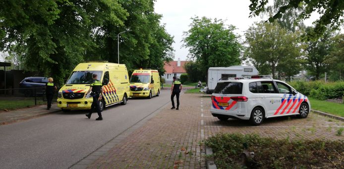 Het 5-jarige jongetje klom over een hek en verdronk bijna in een privézwembad in Terneuzen.