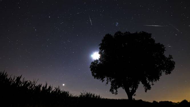 Meer vallende sterren aan de hemel door meteorenzwerm komende week