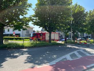 Brandweer heeft bermbrand snel onder controle 