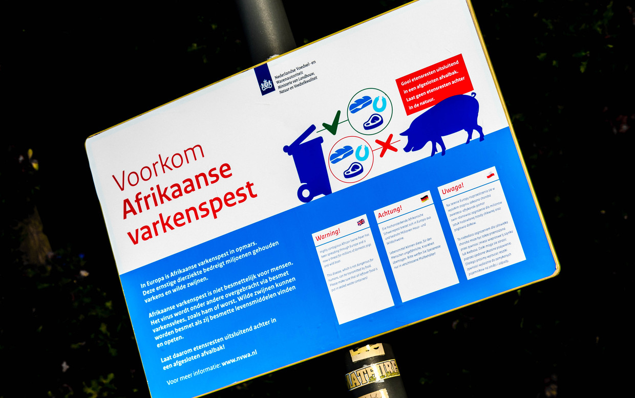 Een waarschuwingsbord van de NVWA tegen de verspreiding van de Afrikaanse varkenspest. Beeld ANP