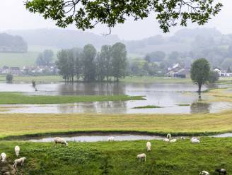 Waterschap Limburg verwacht geen problemen meer, hoogwaterpiek is voorbij