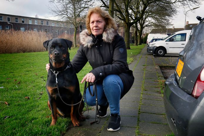 Silvia Groenenbergh en Buddy in de Keizer Maximiliaanstraat in Gorinchem. De politie heeft de roof, waarbij Buddy een van de daders beet, nog niet opgehelderd.