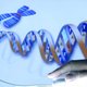 Klein dna-defect oorzaak handicap