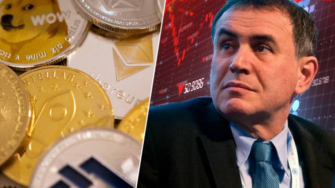 Econoom Nouriel Roubini werkt aan inflatiebestendige cryptomunt