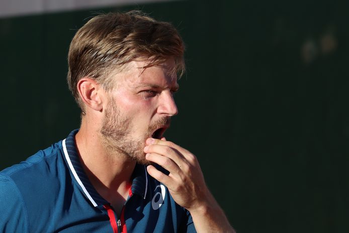 David Goffin.