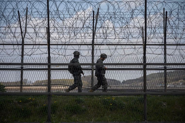 Zuid-Koreaanse militairen patrouilleren aan een gedemilitariseerde zone bij Noord-Korea. Beeld AFP