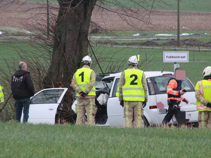 Bestuurder (69) sterft na klap tegen boom langs de Oude Beselarestraat in Wervik