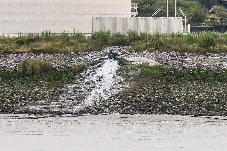 3M loost vervuild water in de Schelde.  Beeld Photo News