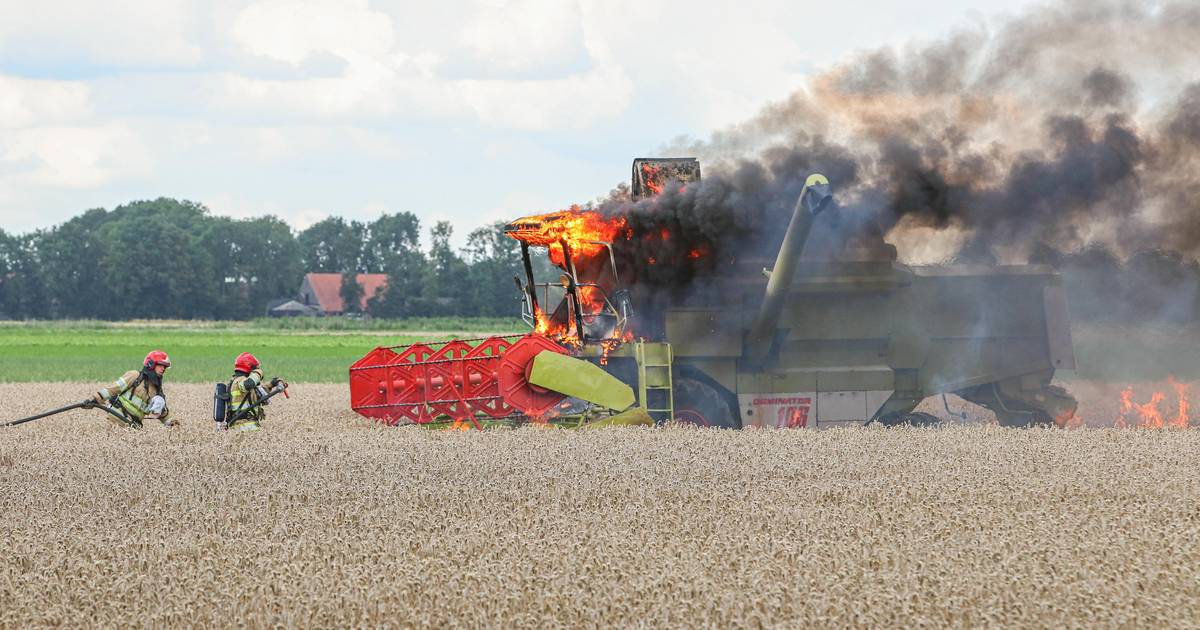 Hans ziet midden in graanveld in Espel zijn combine in brand vliegen: 'Schade is onherstelbaar' - De