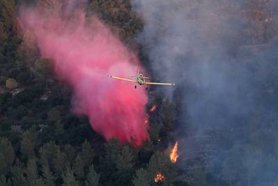 Israël vraagt hulp bij bestrijding bosbranden bij Jeruzalem