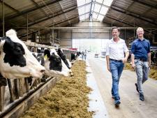 De stikstofbom gaat vroeg of laat af en dan kan Wilders zomaar alsnog gelijk krijgen